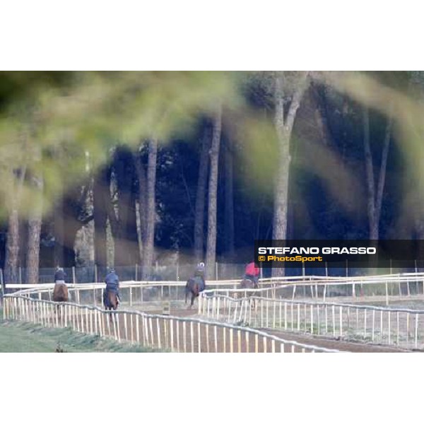 morning works at \' I Cotoni\' Pisa San Rossore, 17th dec. 2007 ph. Stefano Grasso