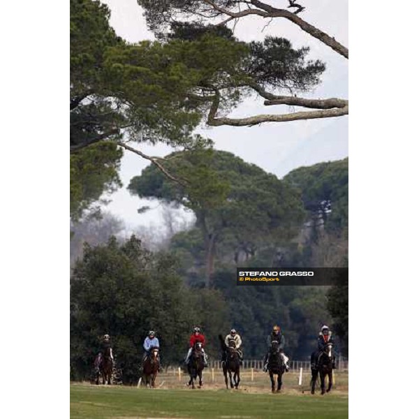 morning works at \' I Cotoni\' Pisa San Rossore, 17th dec. 2007 ph. Stefano Grasso