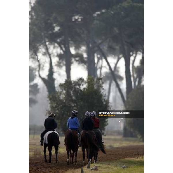 morning works at \' I Cotoni\' Pisa San Rossore, 17th dec. 2007 ph. Stefano Grasso