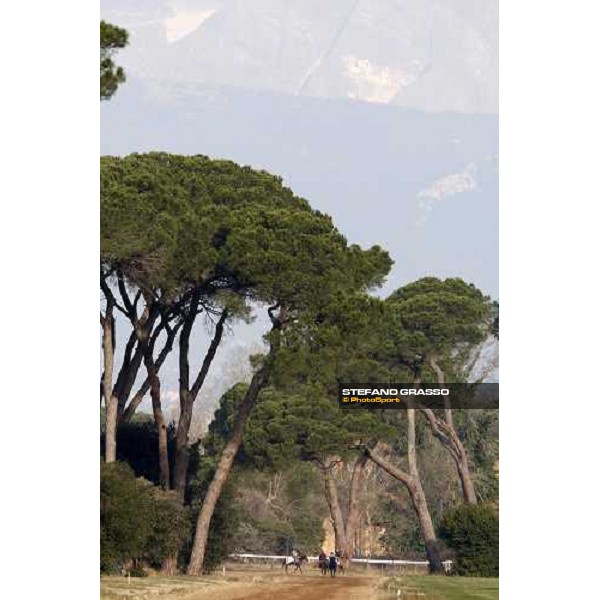 morning works at \' I Cotoni\' Pisa San Rossore, 17th dec. 2007 ph. Stefano Grasso