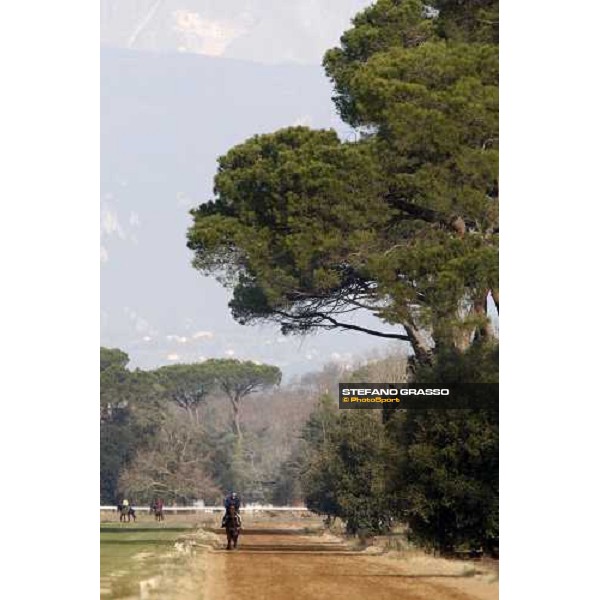 morning works at \' I Cotoni\' Pisa San Rossore, 17th dec. 2007 ph. Stefano Grasso