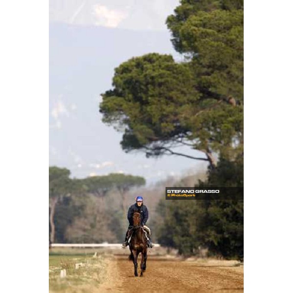 morning works at \' I Cotoni\' Pisa San Rossore, 17th dec. 2007 ph. Stefano Grasso