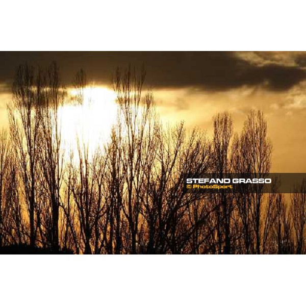 sunset at Pisa San Rossore Pisa, 16th dec. 2007 ph. Stefano Grasso