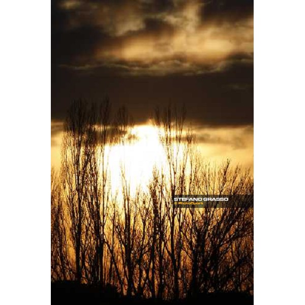 sunset at Pisa San Rossore Pisa, 16th dec. 2007 ph. Stefano Grasso