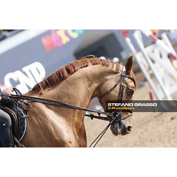 LGCT of Mexico City - Glock\'s London - Mexico City, Campo Marte - 23 March 2018 - ph.Stefano Grasso/LGCT