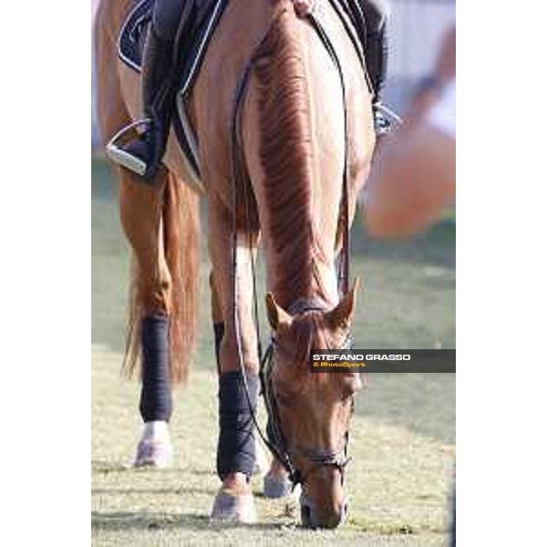 LGCT of Mexico City - Glock\'s London - Mexico City, Campo Marte - 23 March 2018 - ph.Stefano Grasso/LGCT
