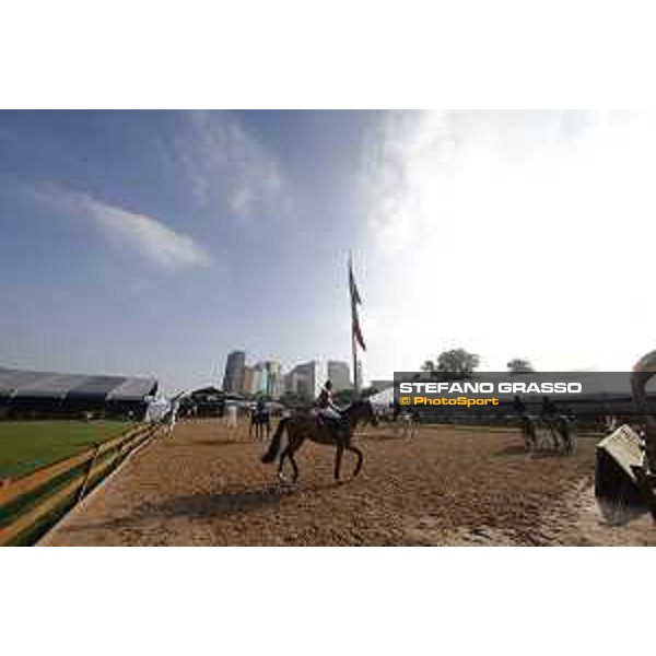 LGCT of Mexico City - Morning work at Campo Marte - Mexico City, Campo Marte - 23 March 2018 - ph.Mario Grassia/LGCT