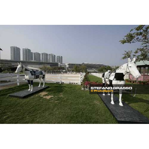 Olympic Equestrian Venue - training arena Hong Kong, Sha Tin, 8th dec, 2007 ph. Stefano Grasso