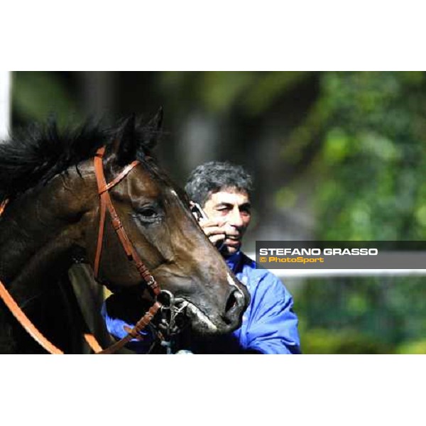Once More Dubai walking with his groom after winning the Premio Nastro D\' Oro di Sicilia Siracusa, 12th jan. 2008 ph. Stefano Grasso