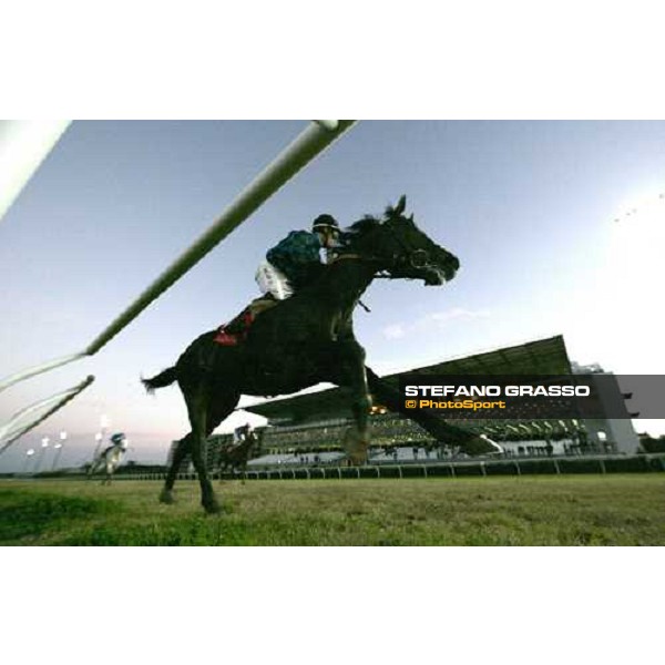 Silvano Mulas on Cocodrail wins the Premio Coppa Oro di Siracusa Siracusa, 13th jan. 2008 ph. Stefano Grasso