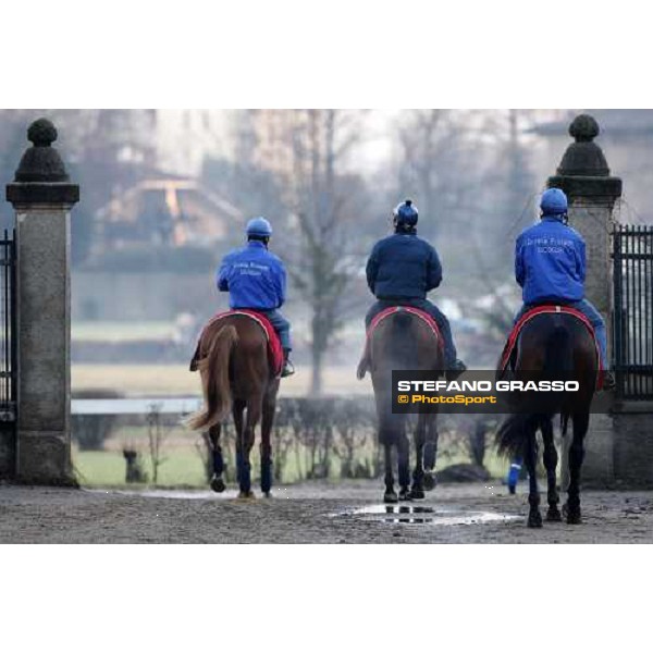 Dioscuri team at San Siro during a training session Milan, San Siro - La Maura, 17th jan. 2008 ph. Stefano Grasso