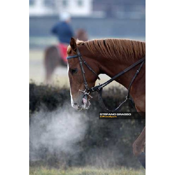 Dioscuri team at San Siro during a training session Milan, San Siro - La Maura, 17th jan. 2008 ph. Stefano Grasso