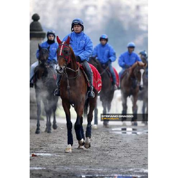 Dioscuri team at San Siro during a training session Milan, San Siro - La Maura, 17th jan. 2008 ph. Stefano Grasso