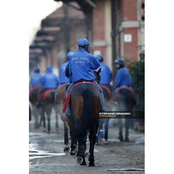 Dioscuri team at San Siro during a training session Milan, San Siro - La Maura, 17th jan. 2008 ph. Stefano Grasso