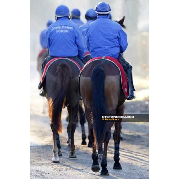 Dioscuri team at San Siro during a training session Milan, San Siro - La Maura, 17th jan. 2008 ph. Stefano Grasso