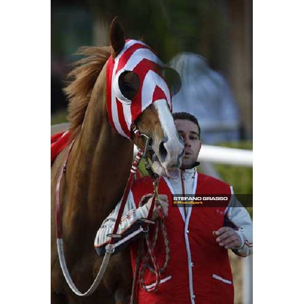 racing at Mediterraneo racecourse Siracusa, 12th jan. 2008 ph. Stefano Grasso