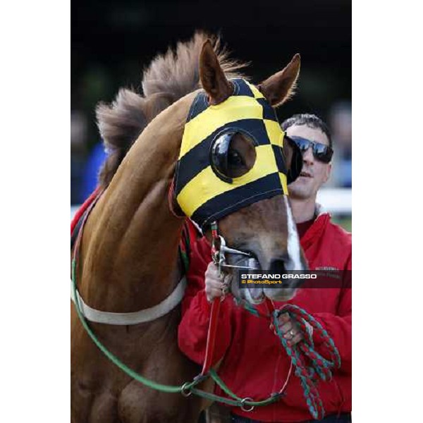 racing at Mediterraneo racecourse Siracusa, 12th jan. 2008 ph. Stefano Grasso