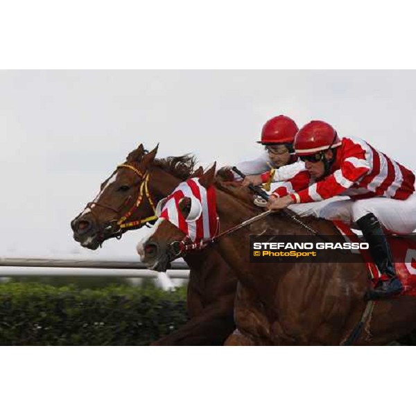 racing at Mediterraneo racecourse Siracusa, 12th jan. 2008 ph. Stefano Grasso