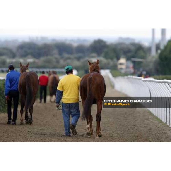 after racing at Mediterraneo racecourse Siracusa, 12th jan. 2008 ph. Stefano Grasso
