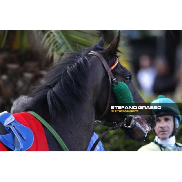 racing at Mediterraneo racecourse Siracusa, 12th jan. 2008 ph. Stefano Grasso