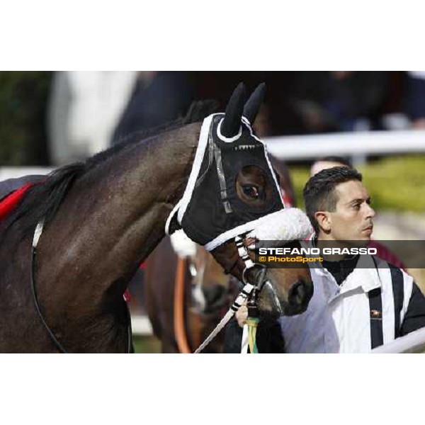 racing at Mediterraneo racecourse Siracusa, 12th jan. 2008 ph. Stefano Grasso