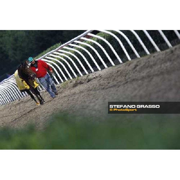 racing at Mediterraneo racecourse Siracusa, 12th jan. 2008 ph. Stefano Grasso