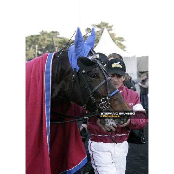 close up after the race for Improve As winner of Prix du Luxembourg Paris Vincennes, 26th jan. 2008 ph. Stefano Grasso