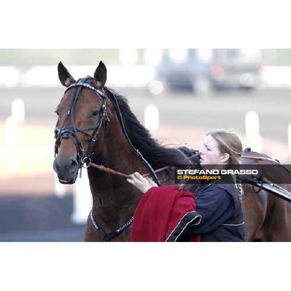 close up for Glen Kronos before the start of Prix du Luxembourg Paris Vincennes, 26th jan. 2008 ph. Stefano Grasso