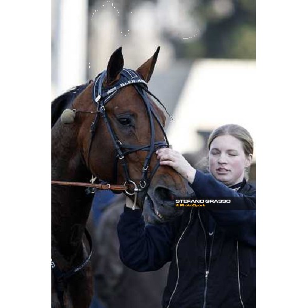 Glen Kronos comes back with his groom after the 2nd place in the Prix du Luxembourg Paris Vincennes, 26th jan. 2008 ph. Stefano Grasso
