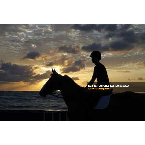 LGCT of Miami Beach - Early morning training - Miami Beach, - 6 April 2018 - ph.Mario Grassia/LGCT