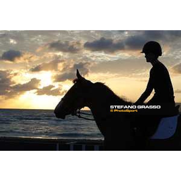 LGCT of Miami Beach - Early morning training - Miami Beach, - 6 April 2018 - ph.Mario Grassia/LGCT