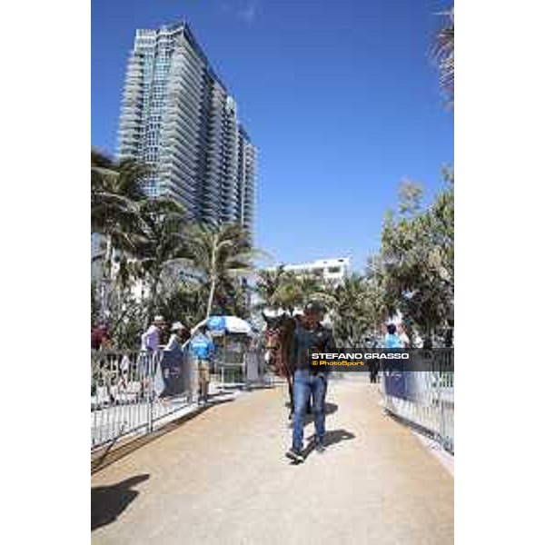 LGCT of Miami Beach - Behind the scenes - Ailina 6 - Miami Beach, - 6 April 2018 - ph.Mario Grassia/LGCT