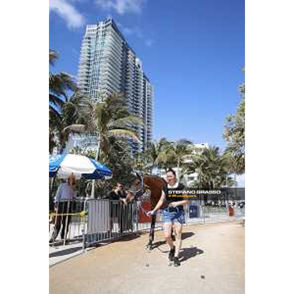 LGCT of Miami Beach - Behind the scenes - Ailina 6 - Miami Beach, - 6 April 2018 - ph.Mario Grassia/LGCT