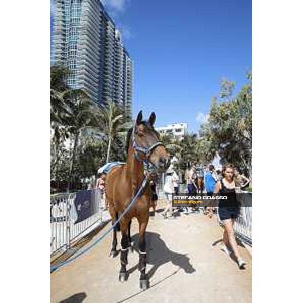 LGCT of Miami Beach - Behind the scenes - Ailina 6 - Miami Beach, - 6 April 2018 - ph.Mario Grassia/LGCT