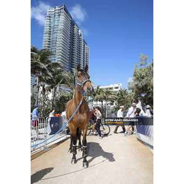 LGCT of Miami Beach - Behind the scenes - Ailina 6 - Miami Beach, - 6 April 2018 - ph.Mario Grassia/LGCT