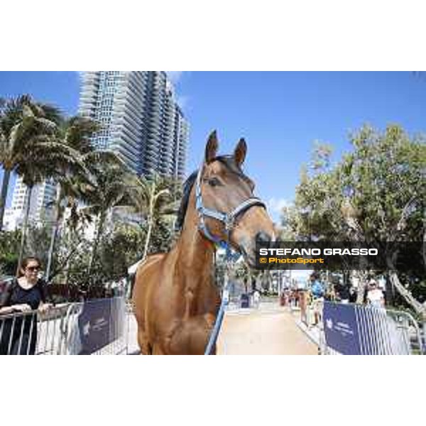 LGCT of Miami Beach - Behind the scenes - Ailina 6 - Miami Beach, - 6 April 2018 - ph.Mario Grassia/LGCT
