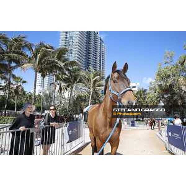 LGCT of Miami Beach - Behind the scenes - Ailina 6 - Miami Beach, - 6 April 2018 - ph.Mario Grassia/LGCT