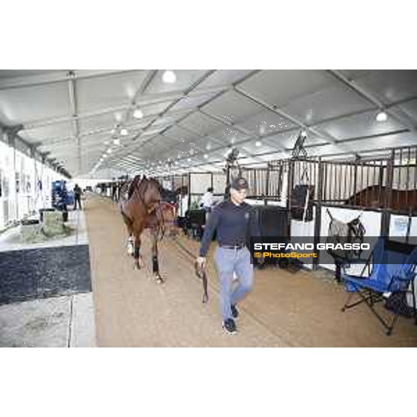 LGCT of Miami Beach - Behind the scenes - Stables - Miami Beach, - 6 April 2018 - ph.Mario Grassia/LGCT