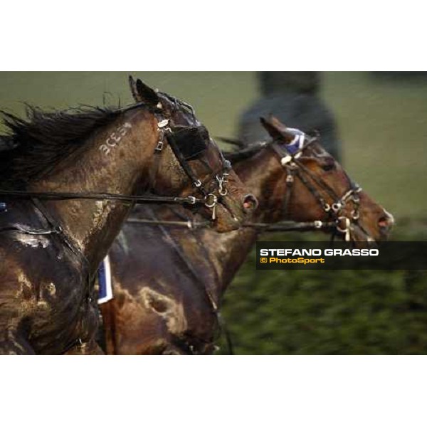 racing Firenze, 3rd febr. 2008 ph. Stefano Grasso