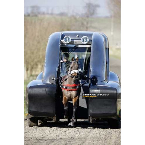 Monty Roberts with Daniele Camuffo train a horse with the new Kurt Equine trainingsystems car at Parkwood Stud Oxford, 11th february 2008 ph. Stefano Grasso