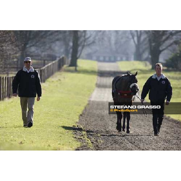 Daniele Camuffo and the horse arrive for a training session with the new Kurt Equine trainingsystems car at Parkwood Stud Oxford, 11th february 2008 ph. Stefano Grasso