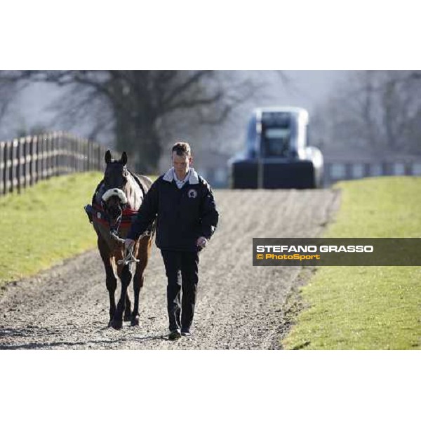 the horse goes to prepare for a training session with the new Kurt Equine trainingsystems car at Parkwood Stud Oxford, 11th february 2008 ph. Stefano Grasso