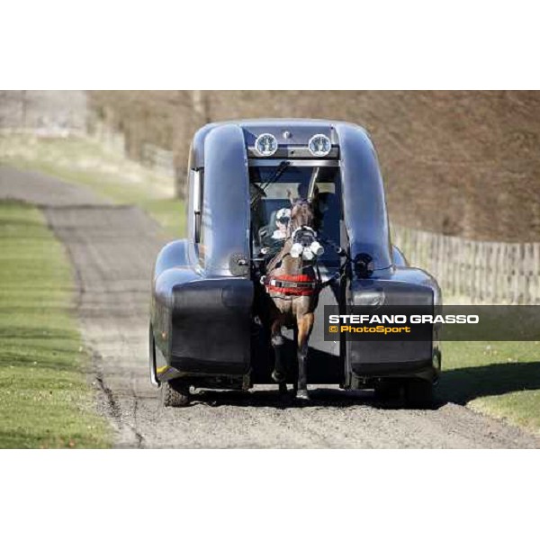 Monty Roberts and Daniele Camuffo training a horse with the new Kurt Equine trainingsystems car at Parkwood Stud Oxford, 11th february 2008 ph. Stefano Grasso