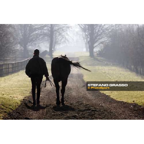 Parkwood Stud Oxford, 11th february 2008 ph. Stefano Grasso