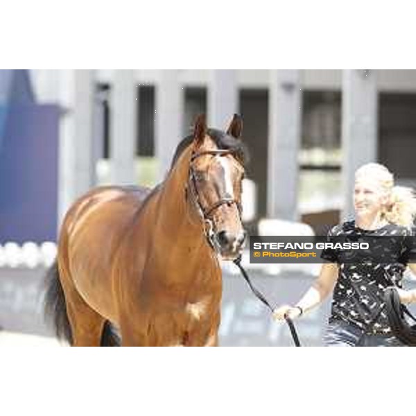 LGCT of Shanghai - Vet check - Gilijandro van den Bosrand - Shanghai, - 19 April 2018 - ph.Stefano Grasso/LGCT