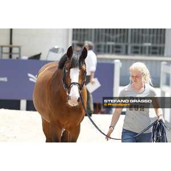 LGCT of Shanghai - Vet check - Limonchello LT - Shanghai, - 19 April 2018 - ph.Stefano Grasso/LGCT