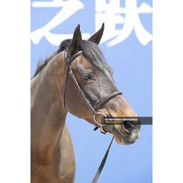 LGCT of Shanghai - Vet check - Hello Mr President - Shanghai, - 19 April 2018 - ph.Stefano Grasso/LGCT