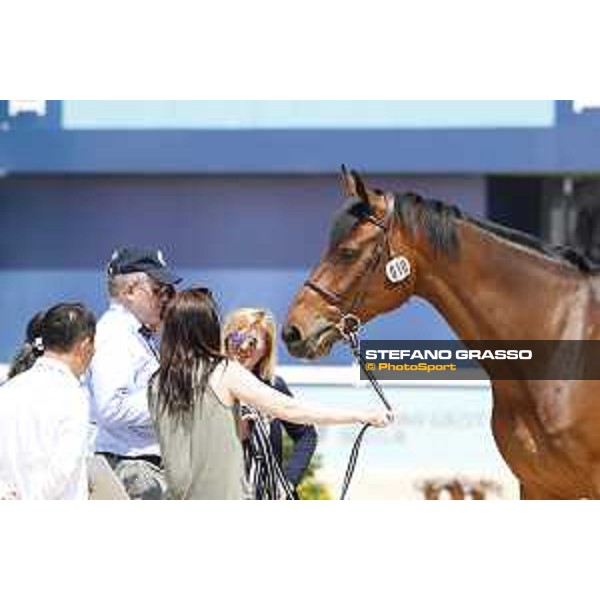 LGCT of Shanghai - Vet check - Chappo Chey - Shanghai, - 19 April 2018 - ph.Stefano Grasso/LGCT