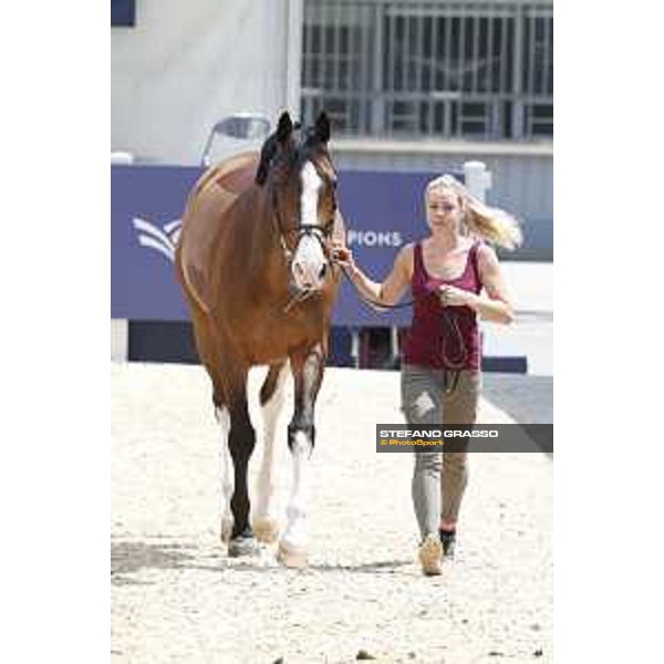 LGCT of Shanghai - Vet check - The Toymaker - Shanghai, - 19 April 2018 - ph.Stefano Grasso/LGCT