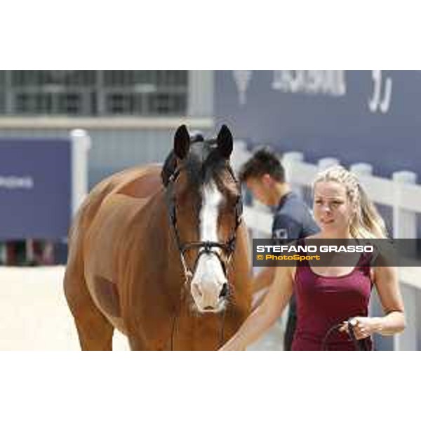 LGCT of Shanghai - Vet check - The Toymaker - Shanghai, - 19 April 2018 - ph.Stefano Grasso/LGCT